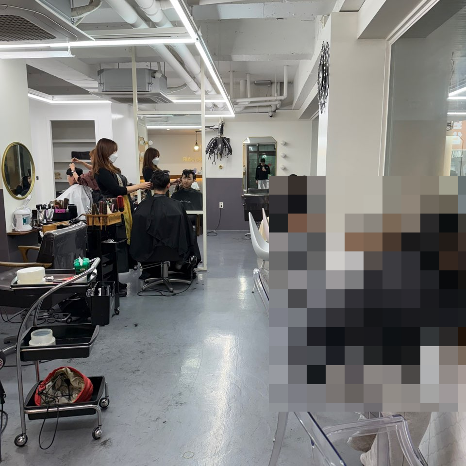 라미스헤어계대 이미지