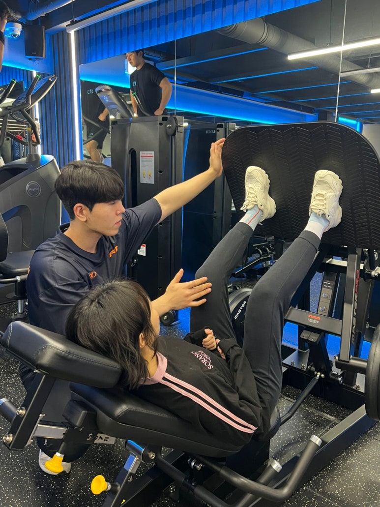 셀바디 이미지