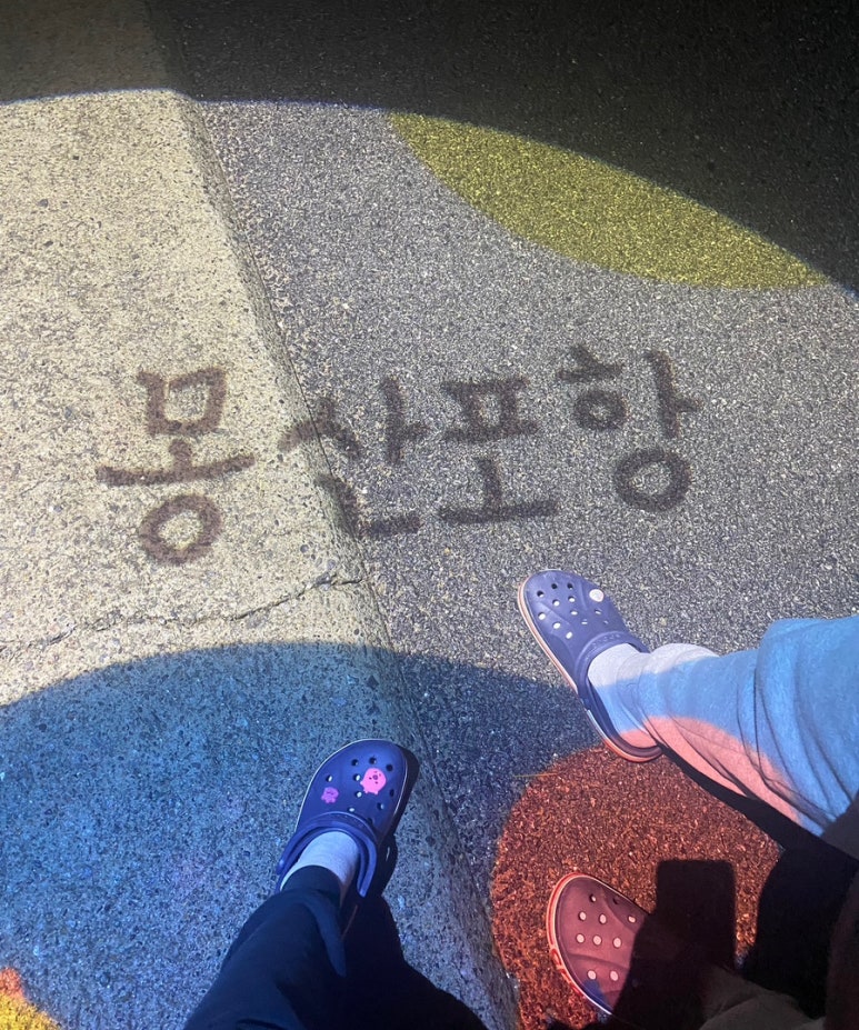 몽산포정다운 이미지