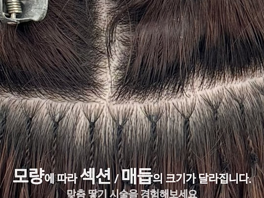 배자매 이미지