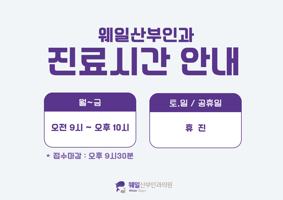 제이웨일 이미지