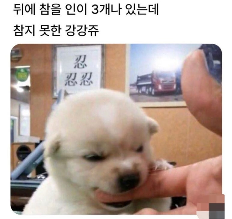 포크80 이미지