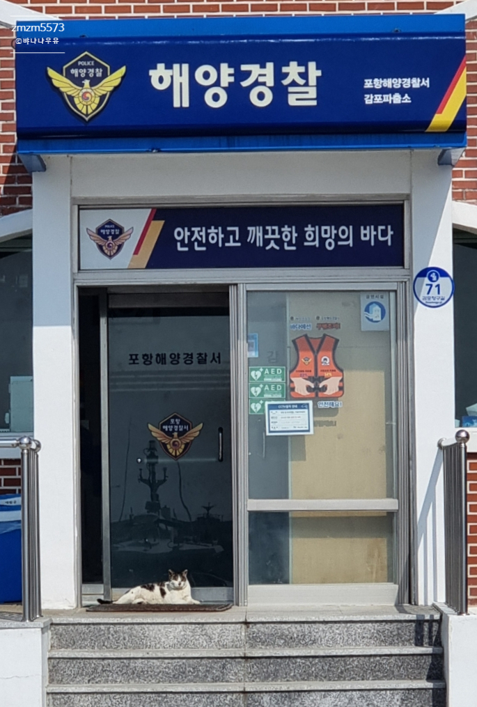 한반도회대게직판장 이미지