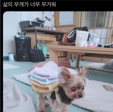 바바 이미지