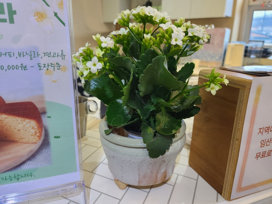 메리네카페 이미지