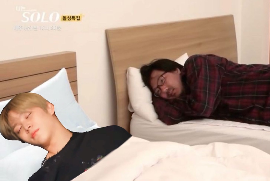 새미새 이미지