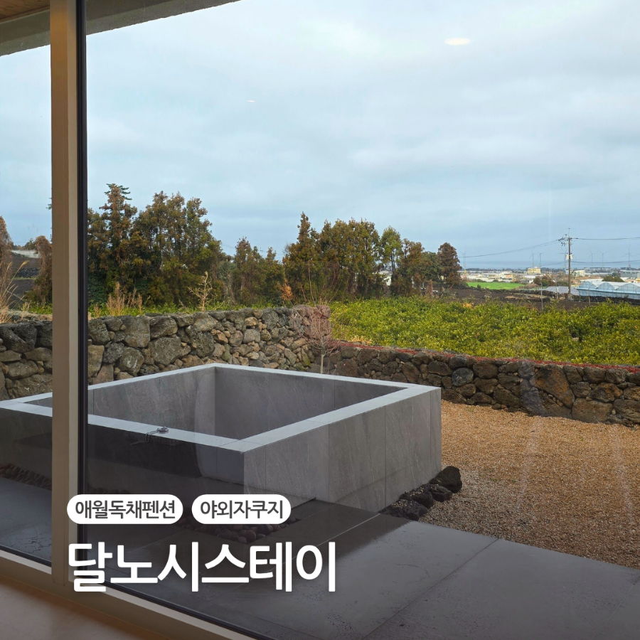 달노시스테이 이미지