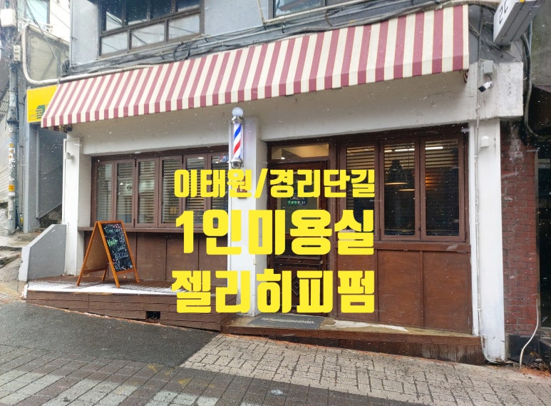 롣드 이미지