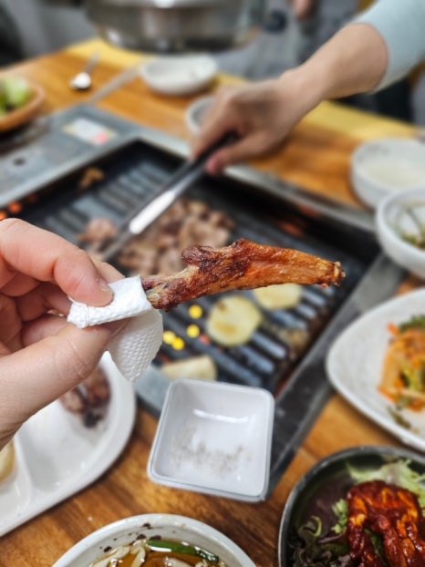 청와오리 이미지