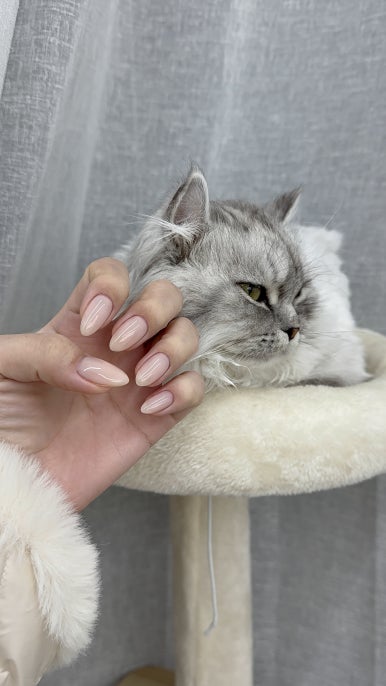 622네일 이미지