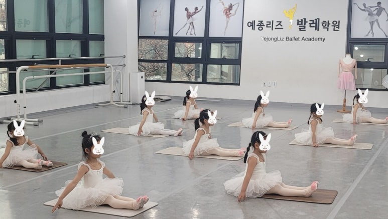 예종리즈발레학원 이미지