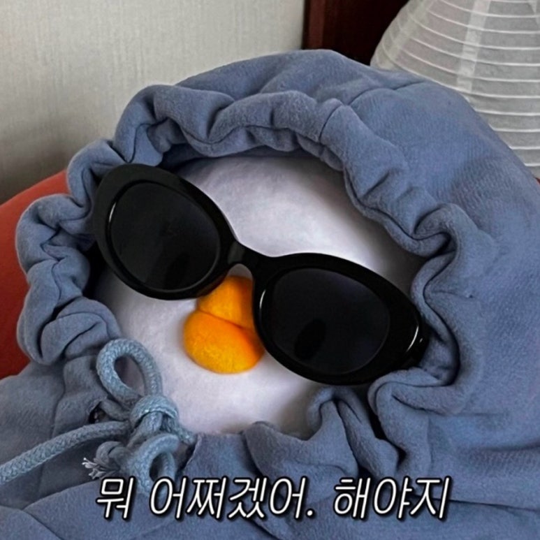 강릉폰 이미지