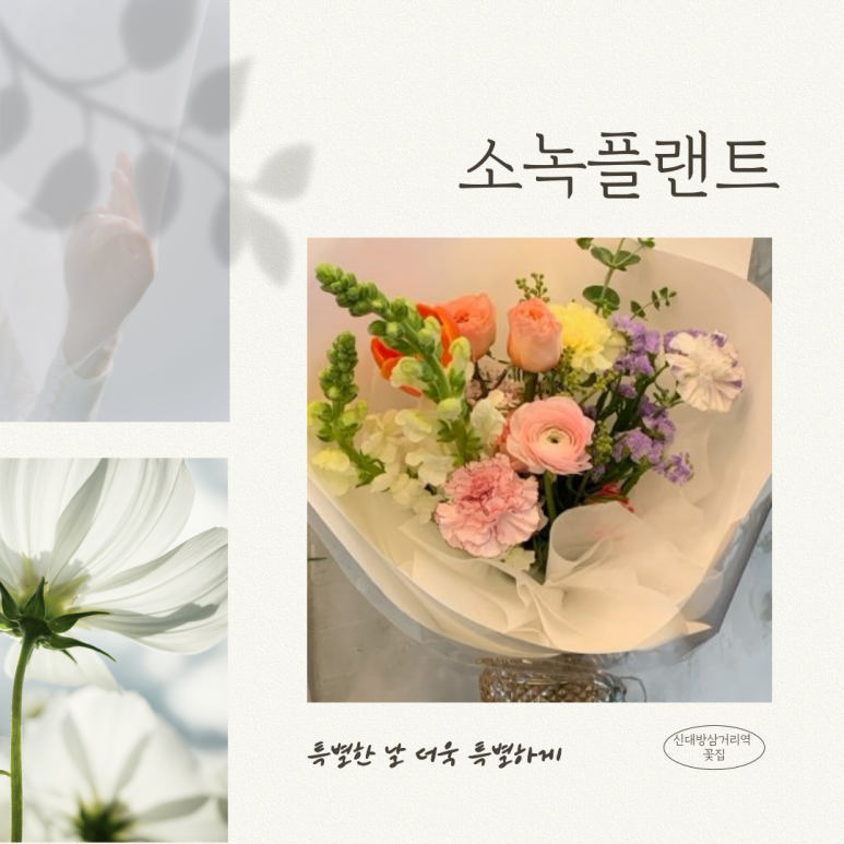 소녹플랜트 이미지