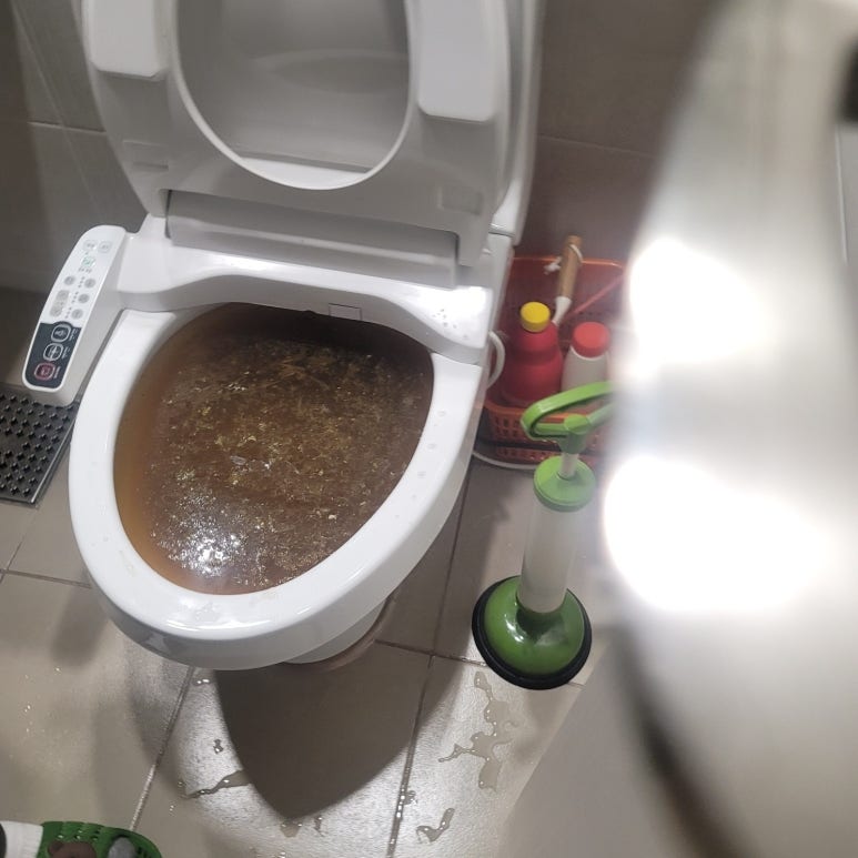 변기막힘 이미지