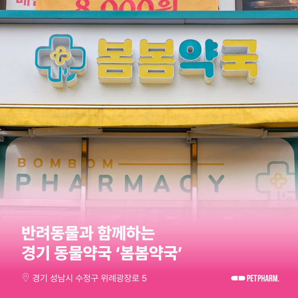 봄봄성남 이미지