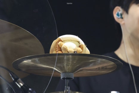 대전실사 이미지