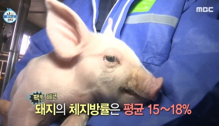 여리한다이어트 이미지