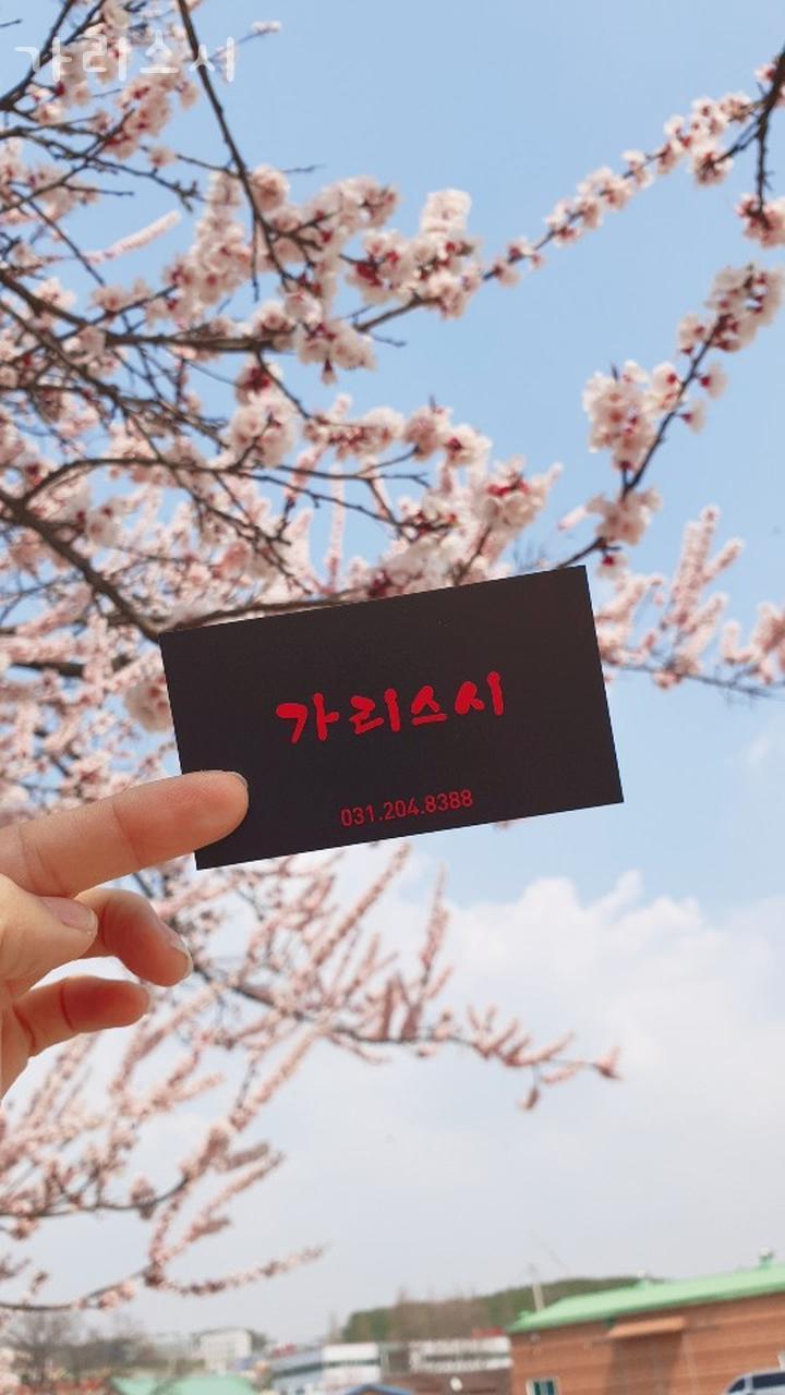 가리스시 이미지