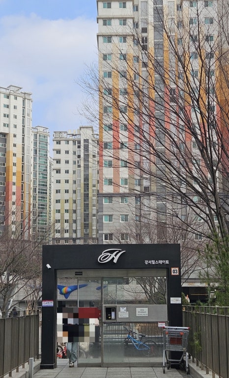 보그01헤어 이미지