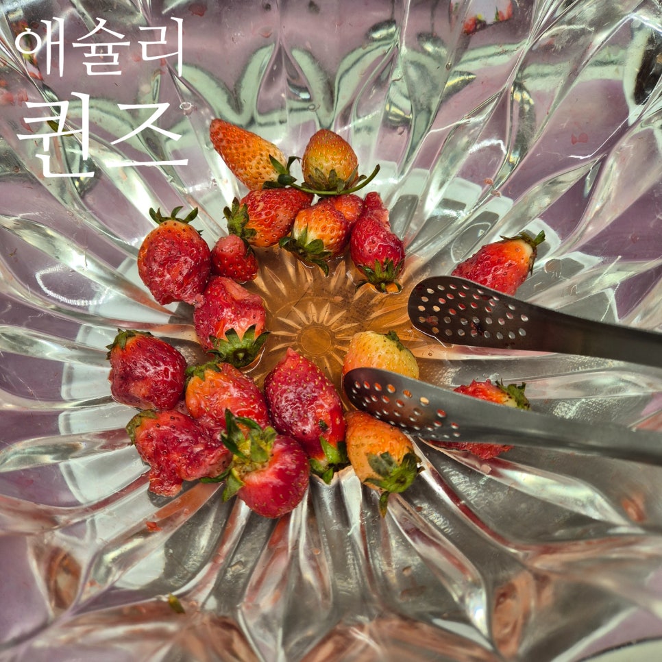 (주)고고퀸즈 이미지