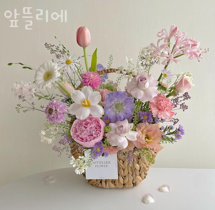 앞뜰리에 이미지