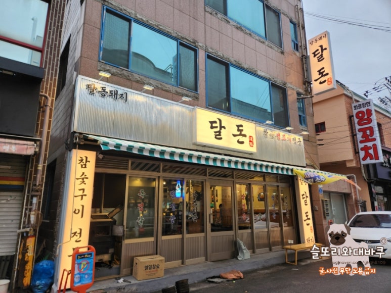 달동돼지달돈 이미지