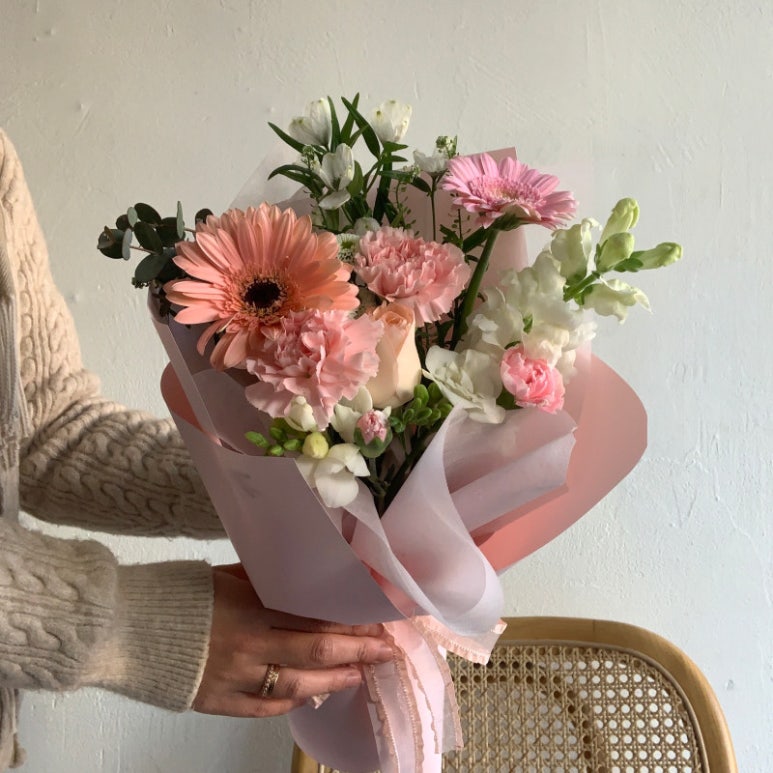아레스&마셀 이미지