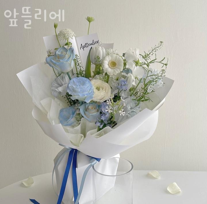 앞뜰리에 이미지