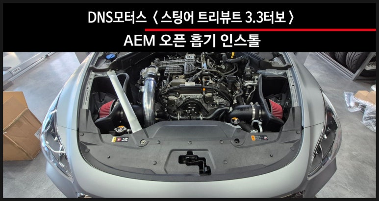 DNS모터스 이미지
