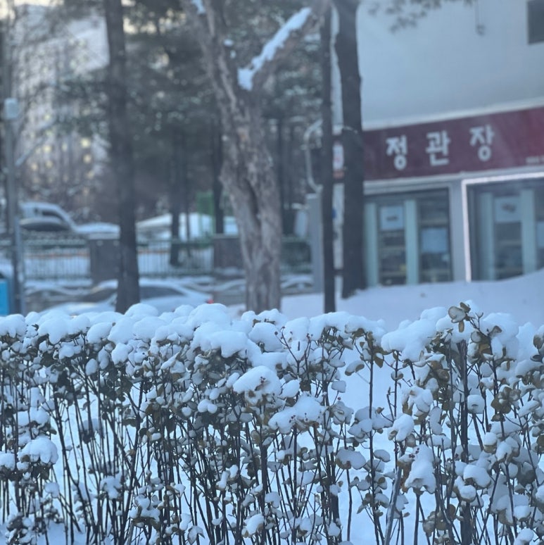 수라인 뷰티샵 이미지