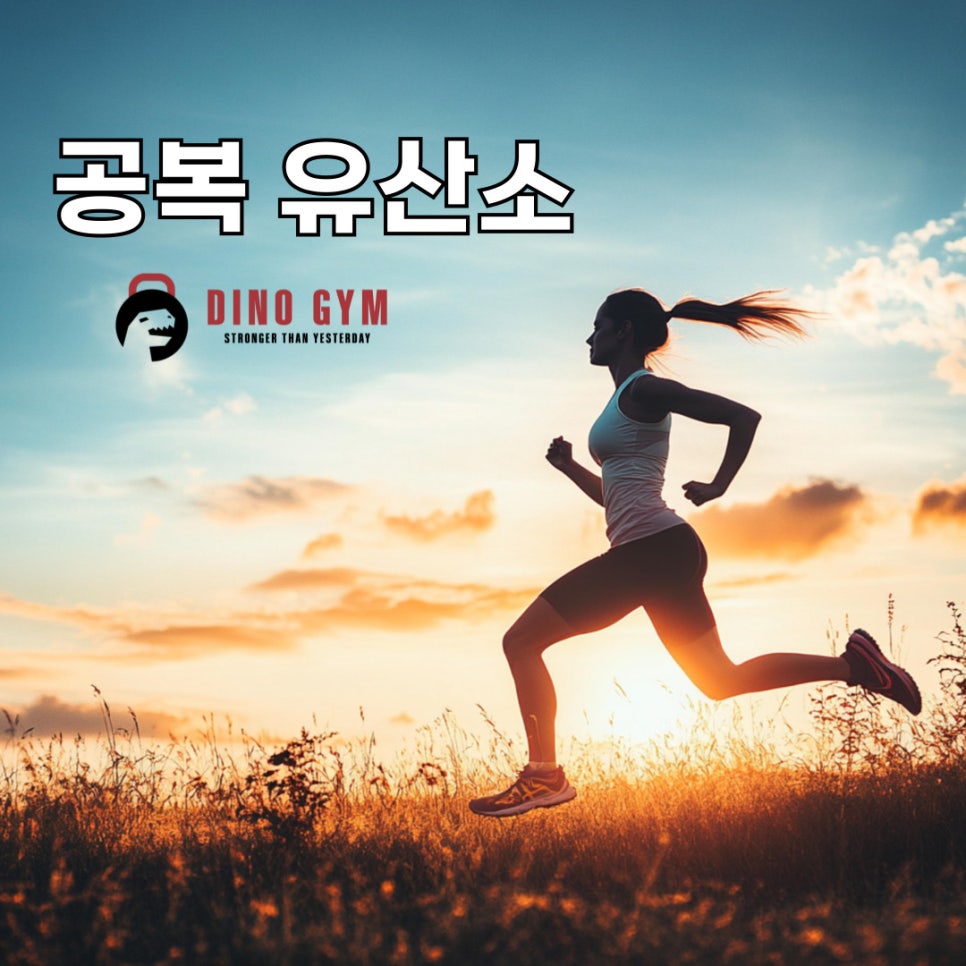 디노짐 이미지