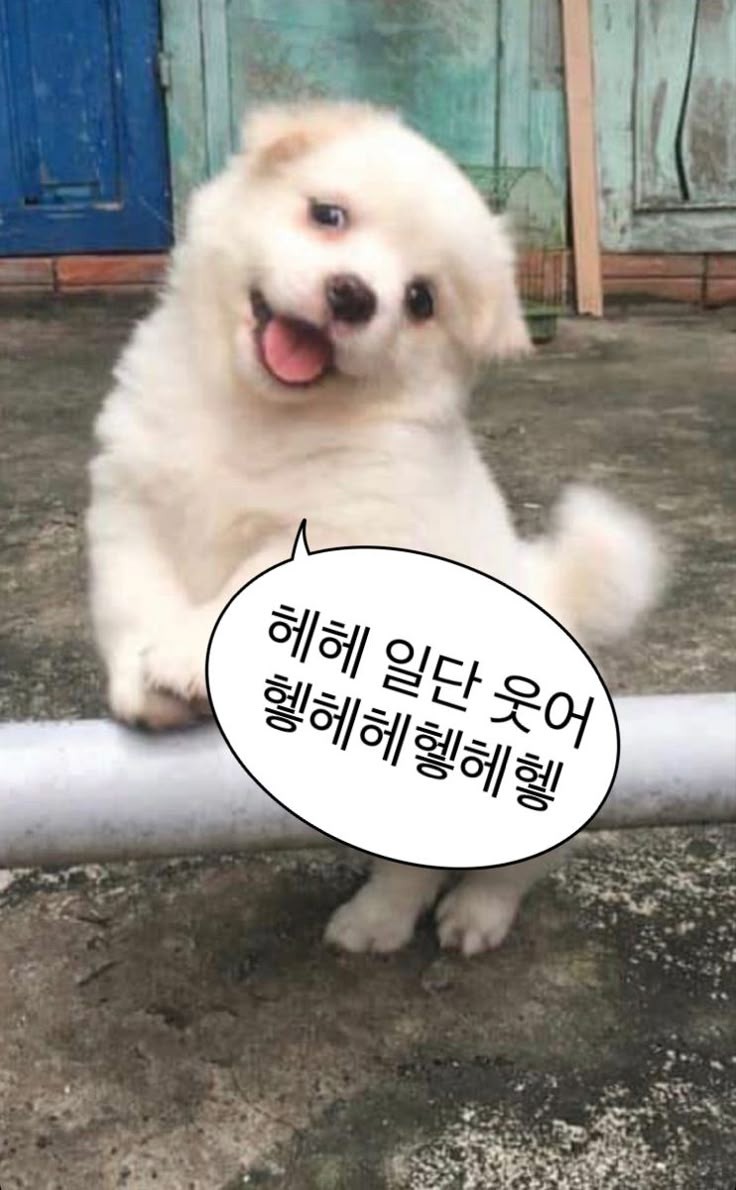 정관달 이미지
