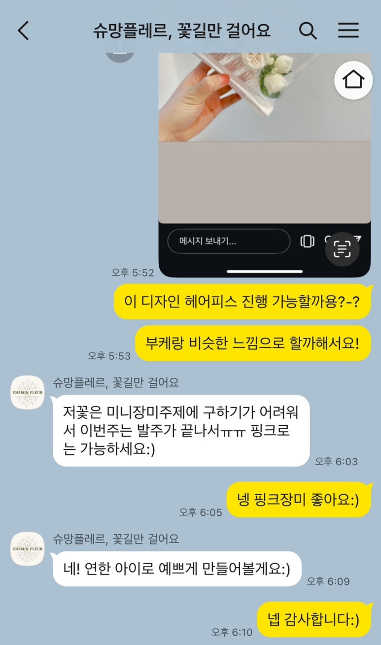 슈망플레르 이미지