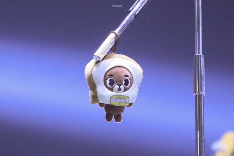 대전실사 이미지