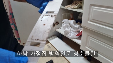 청춘청소방역 이미지