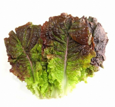 신선한 유통 이미지