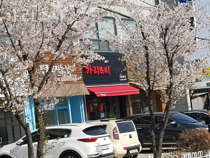 가리스시 이미지