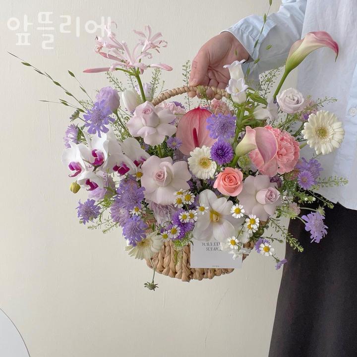 앞뜰리에 이미지