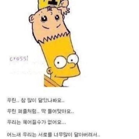 우문현답 이미지