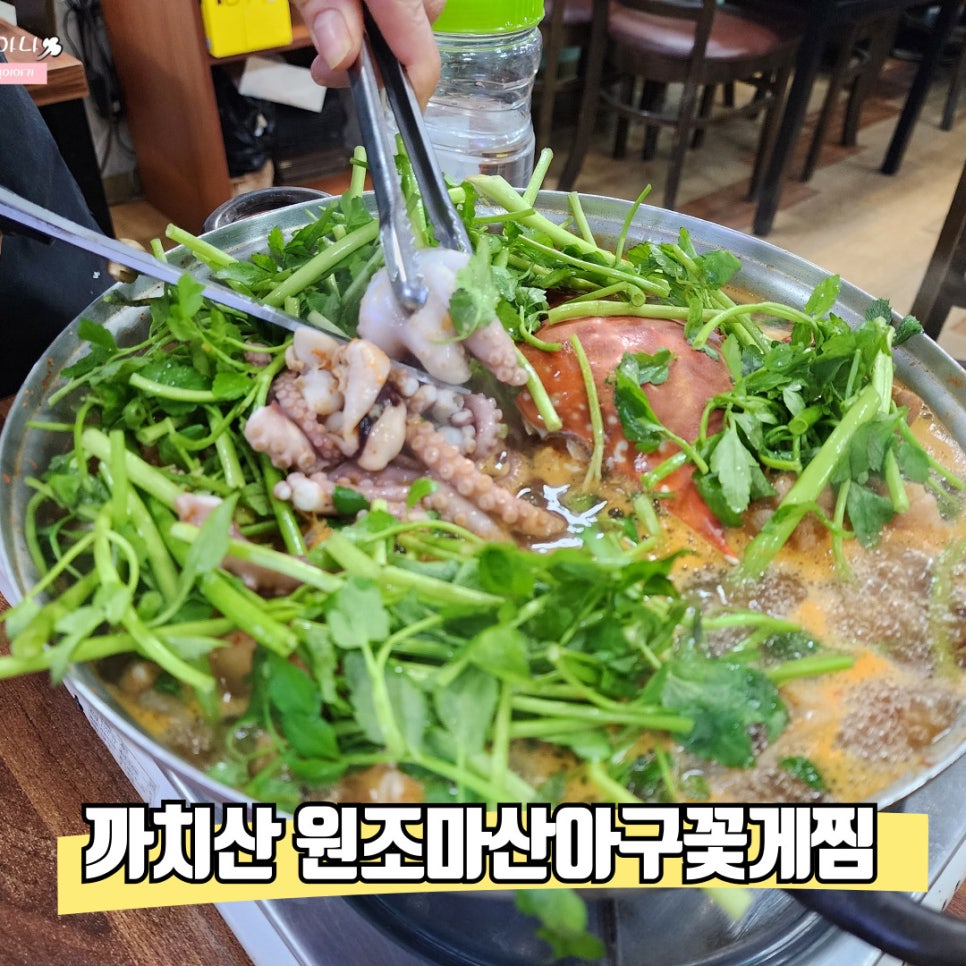 원조마산아구 이미지