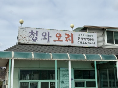 청와오리 이미지