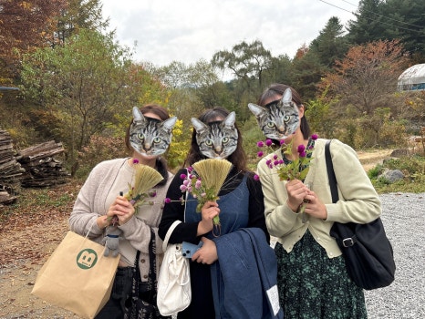 밝은공방 이미지