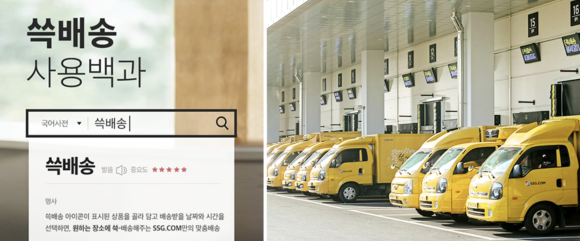 도태라플러스 이미지