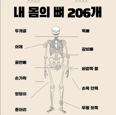 원플랜 이미지