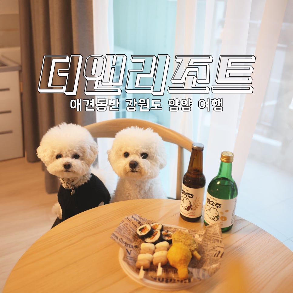 더앤 이미지