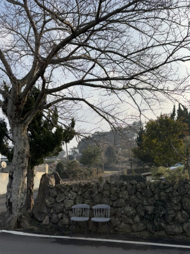 콜다방 이미지