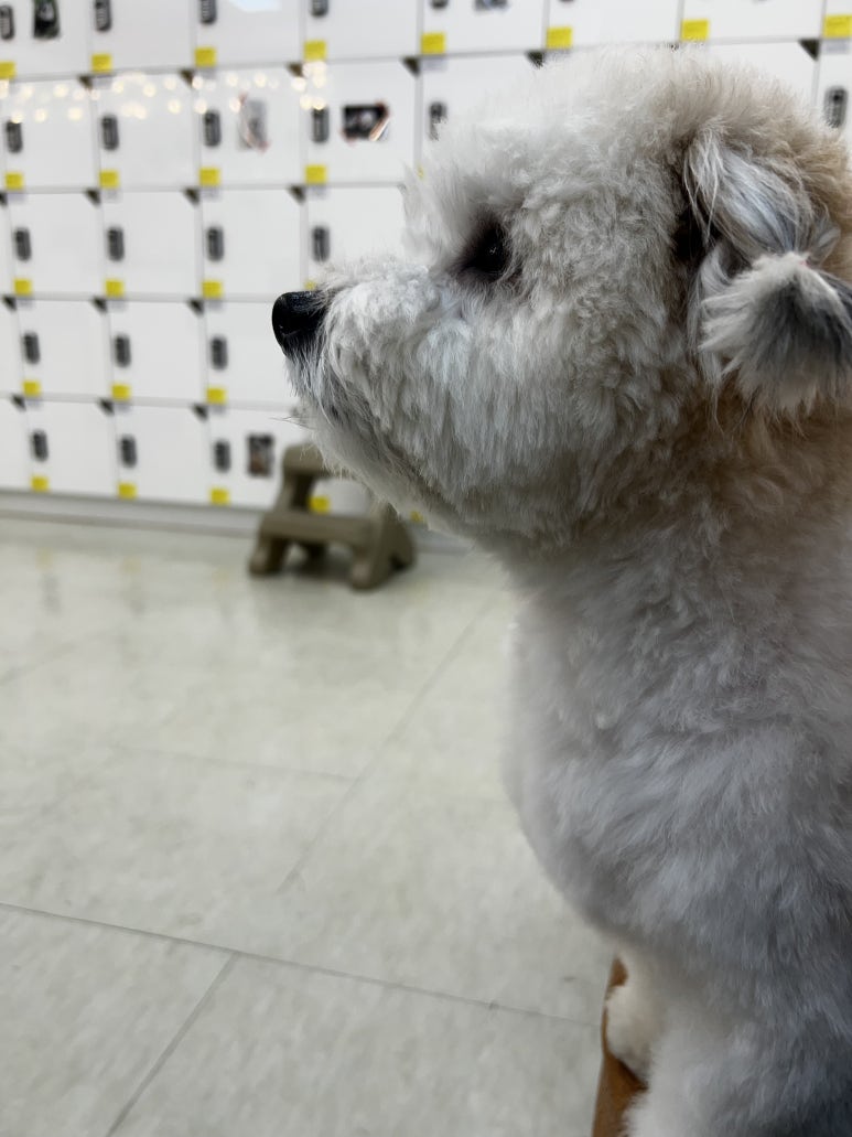 오산기술전문학원 이미지