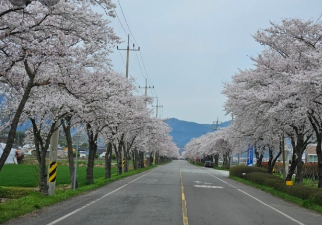 지리산리조트 이미지