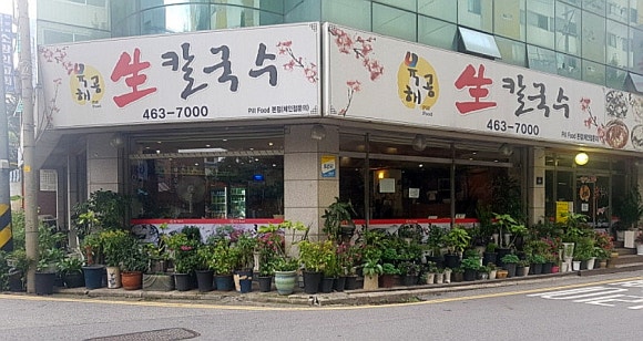 생칼국수 이미지