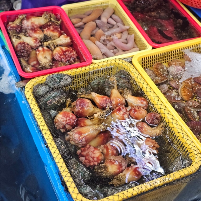 울타리활어센타 이미지